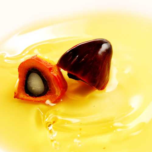 Buy your Palm Oil vs Vegetable Oil at ZOAM STORES